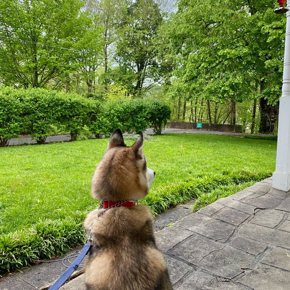 Meet your Posher, Jason/Christy - Picture 9 of 9